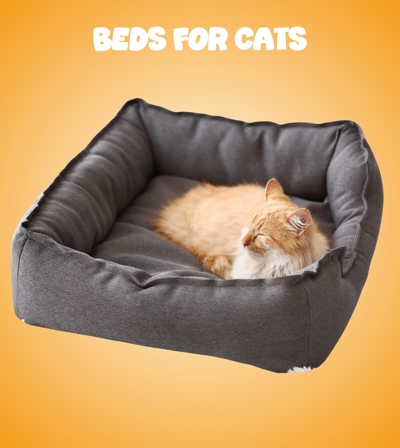 Beds for cats