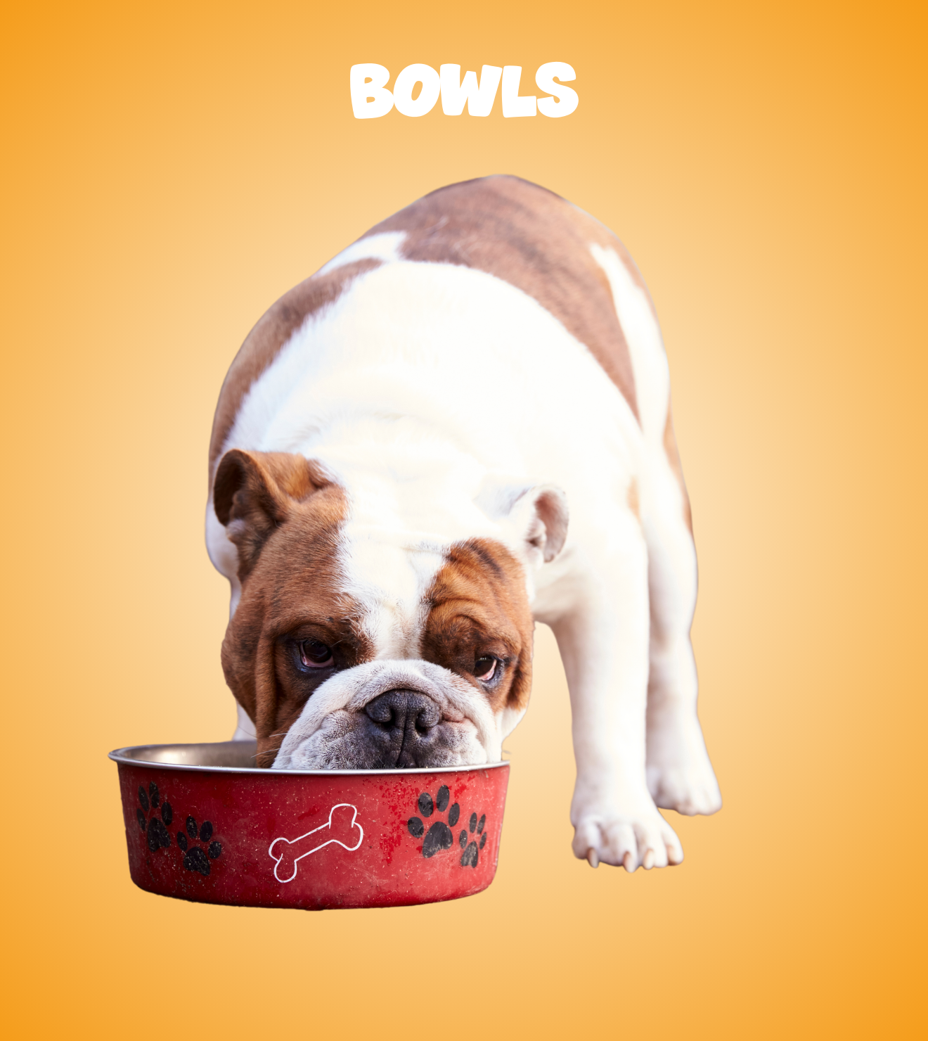 Bowls