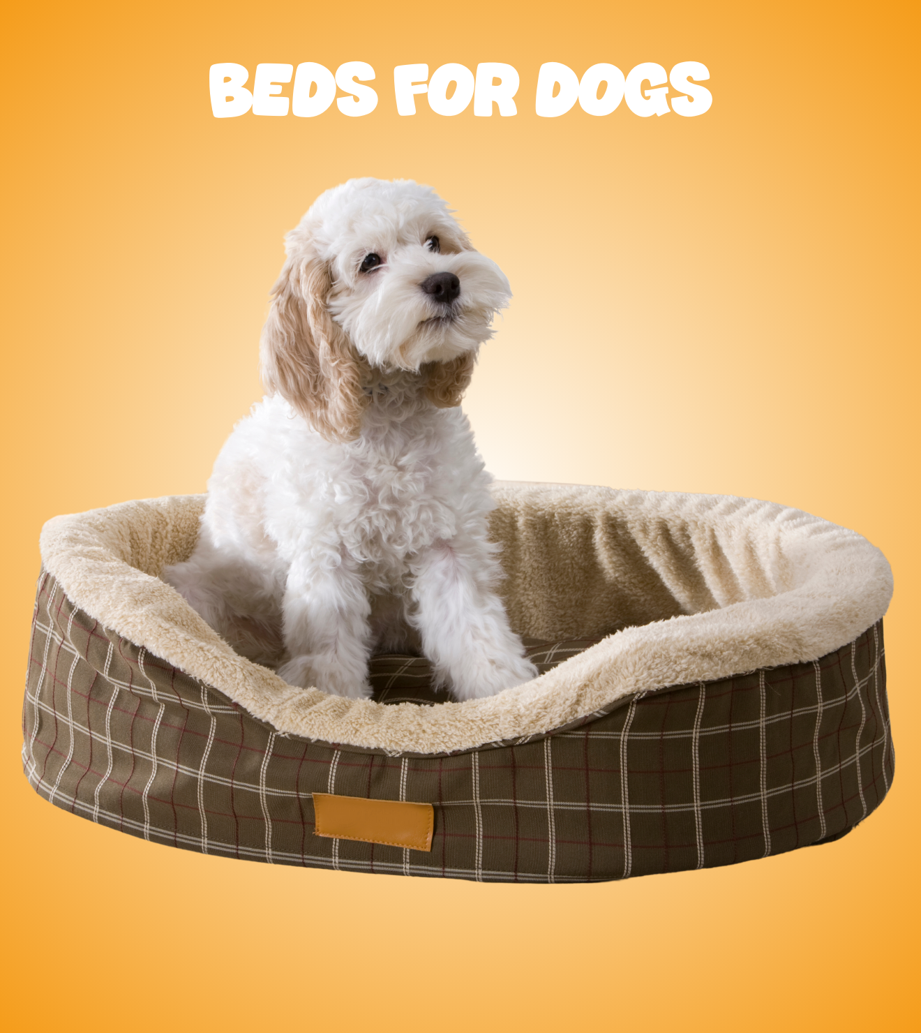 Beds for dogs