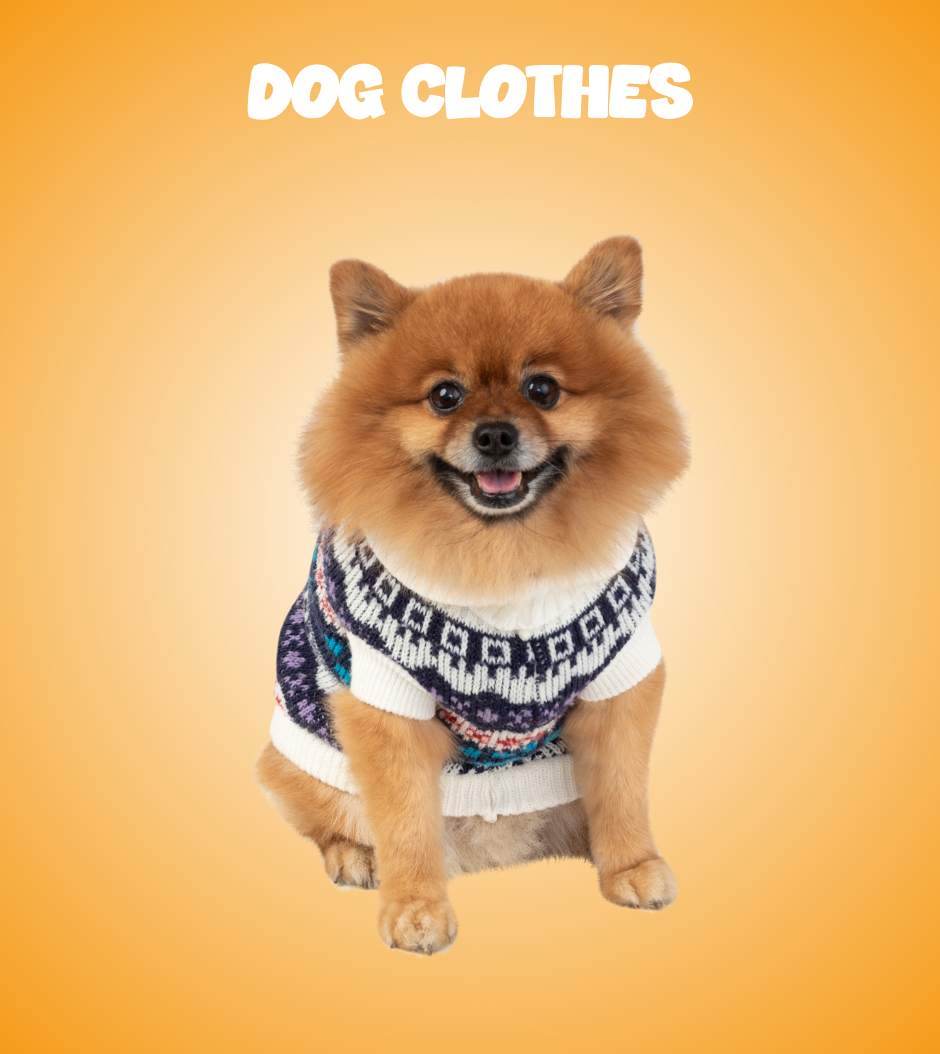 Dog Clothes