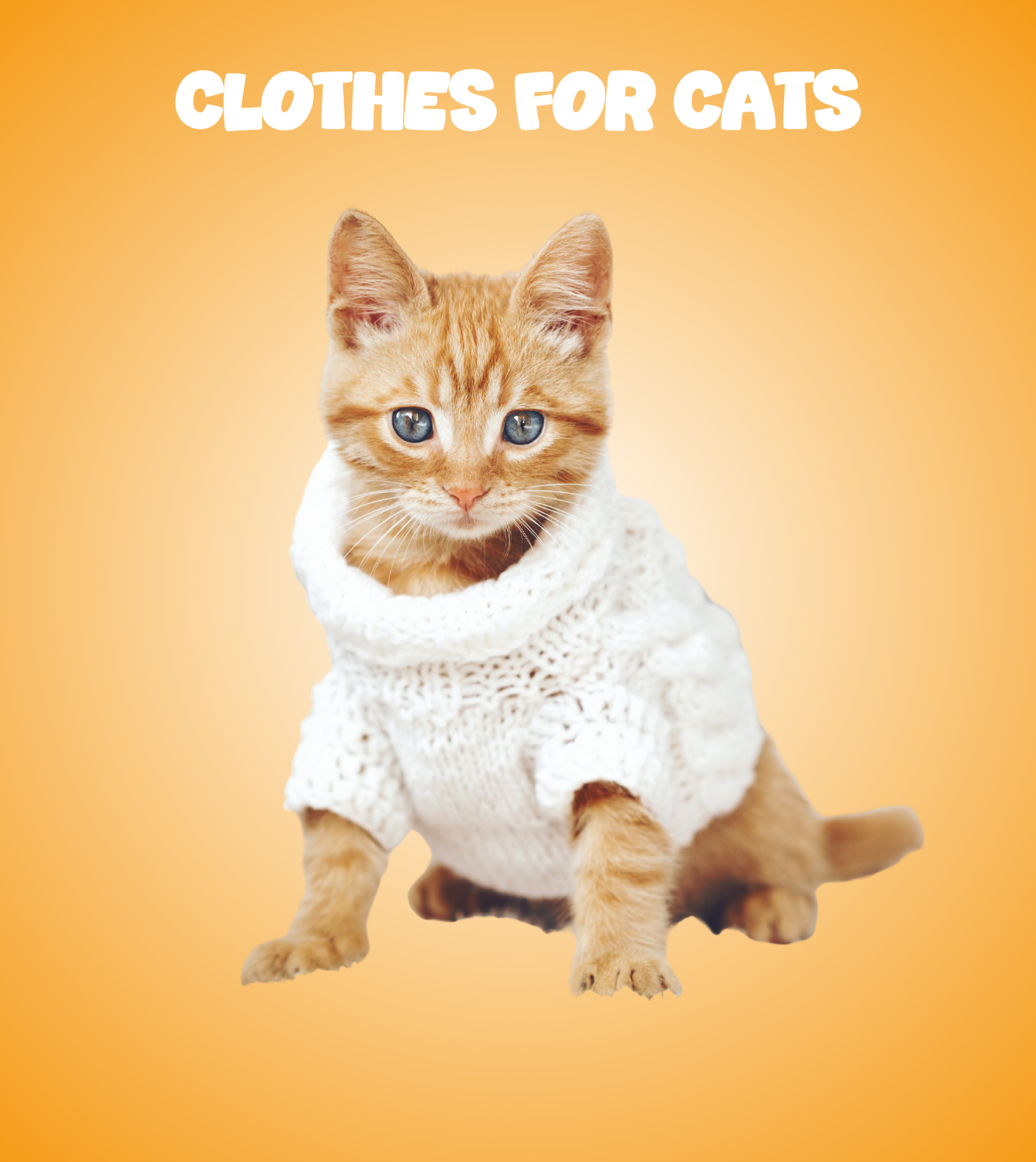 Clothes for Cats